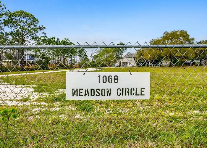 Lone Palm On The Bayou